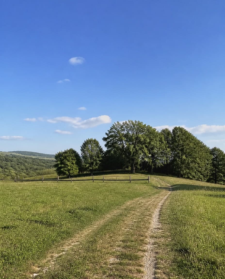 Photo, ciel bleu dégagé
